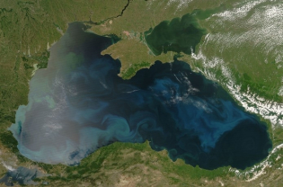 Russia’s Game in the Sea of Azov